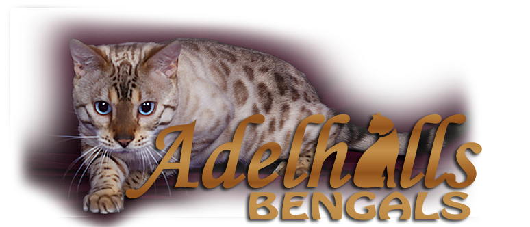 Adelhills Bengals