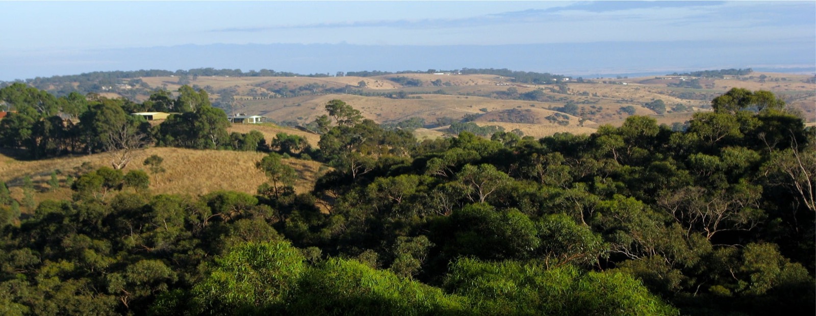 View over the Northern Adelaide Hills from the cattery